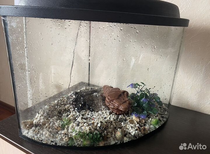Аквариум