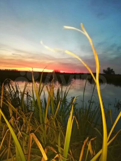 Дом 70 м² на участке 20 сот.