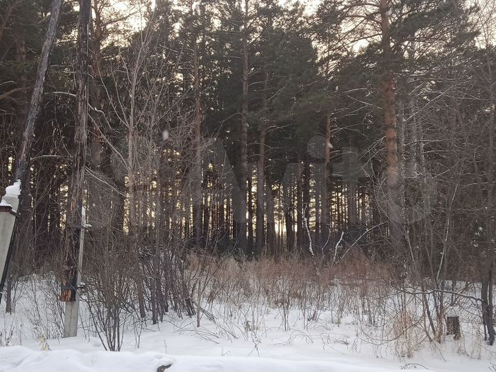 Участок 35 сот. (ИЖС)