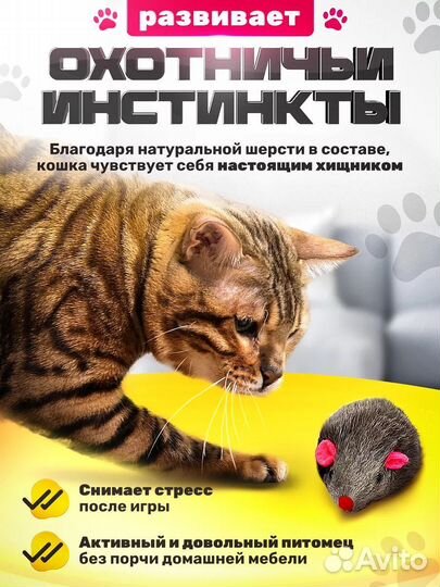 Мятная мышка