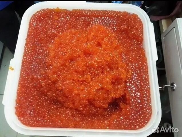 Как долго хранить икру в холодильнике. Пластиковая баночка для икры. Икра красная имитированная. Как долго хранить икру в холодильнике. Холодильник для хранения икры.