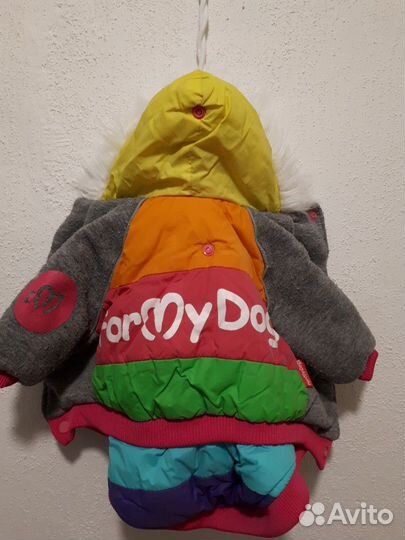 Курточка для мини-собачки