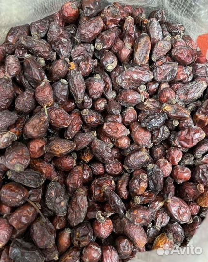 Шиповник сушеный