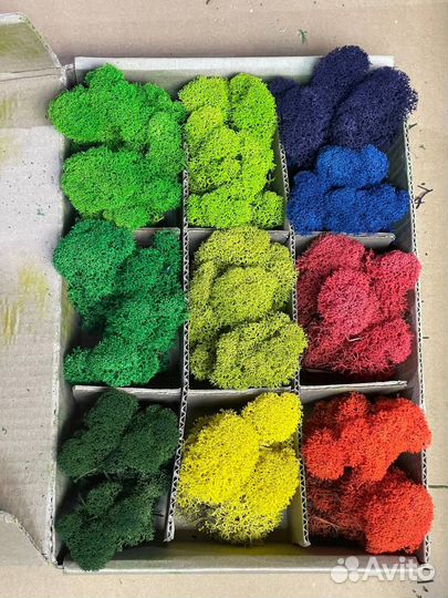 Стабилизированный мох, Изумрудный