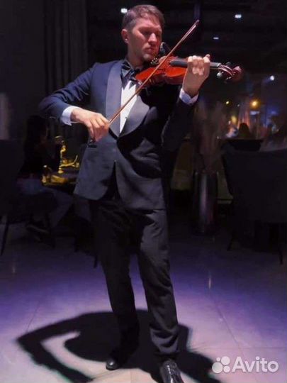 Скрипач на мероприятие, профессиональный звук