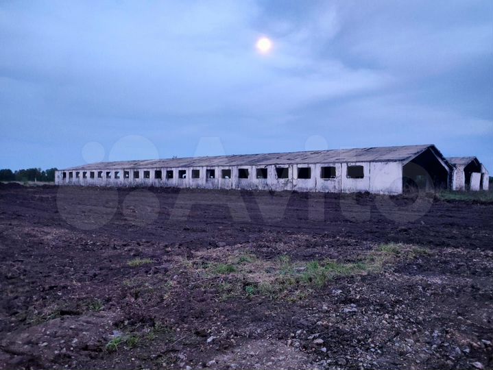 Здание, 5000 м²