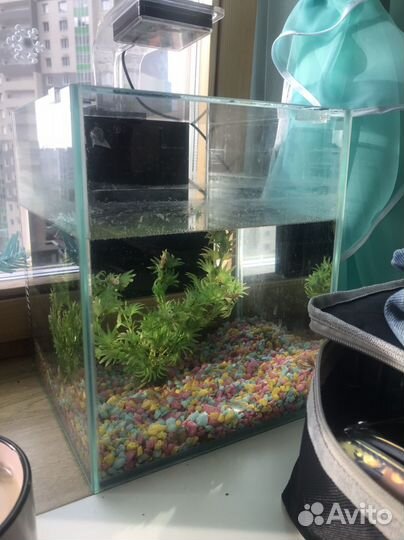 Аквариум