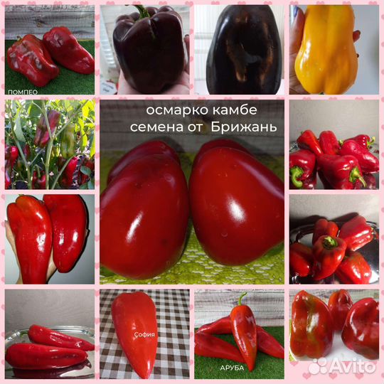 Семена помидор, огурцов капусты