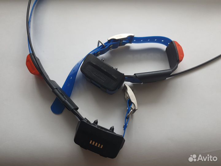 Ошейники Garmin tt15 версия евро русс амер