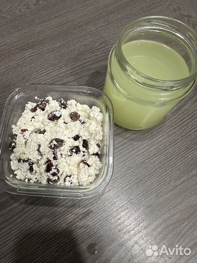 Кефирный молочный гриб