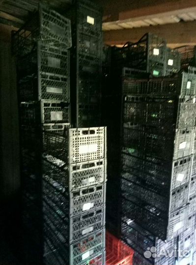 Ящик пластиковый