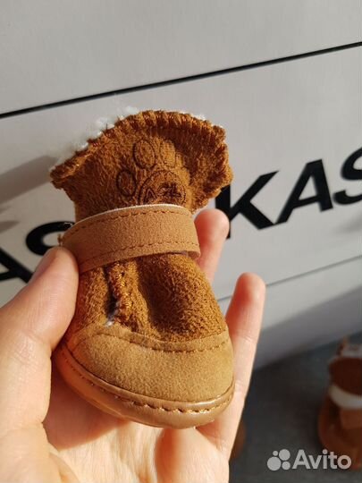 Ботинки для собак (3)