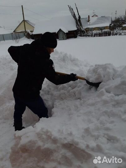 Сан Саныч и грузчики. газель 5 метров