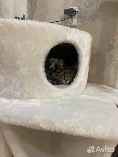 Домик для кошки