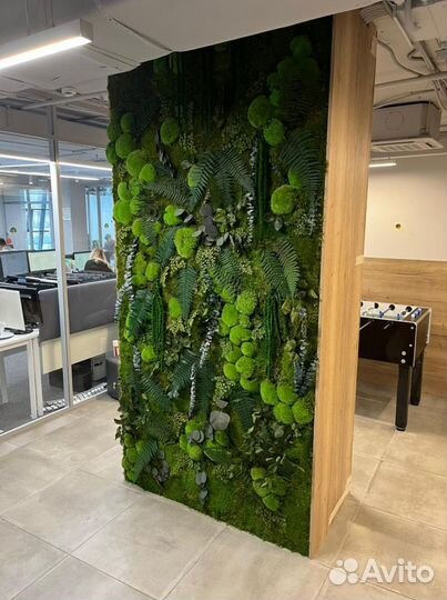 Живые растения: стены, наполняющие пространство жи
