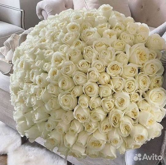 Розы Букеты Цветы Розы 31 101 151 201 Доставка