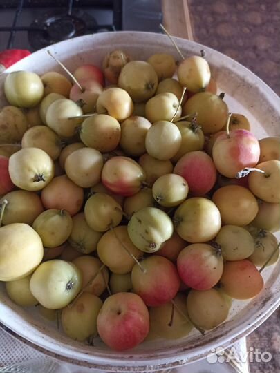 Яблоки домашние