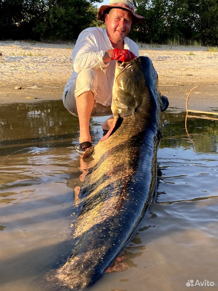 Leaderboard - Рыболовный клуб VolgaFishing