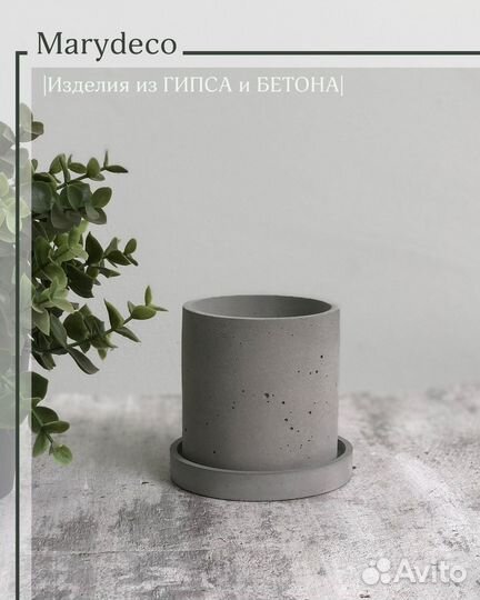 Суккуленты в бетонном кашпо