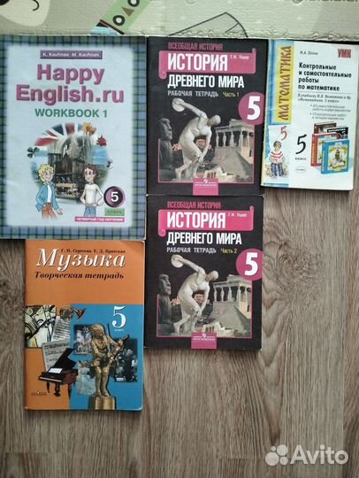 Рабочие тетради 5 класс