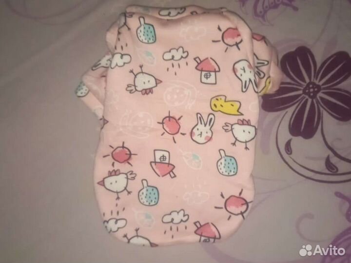 Одежда для собак мелких пород