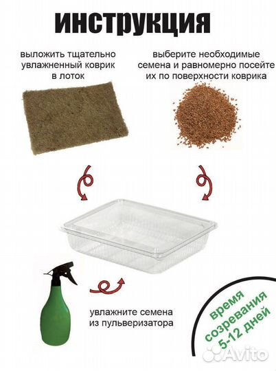 Набор для выращивания микрозелени (опт)