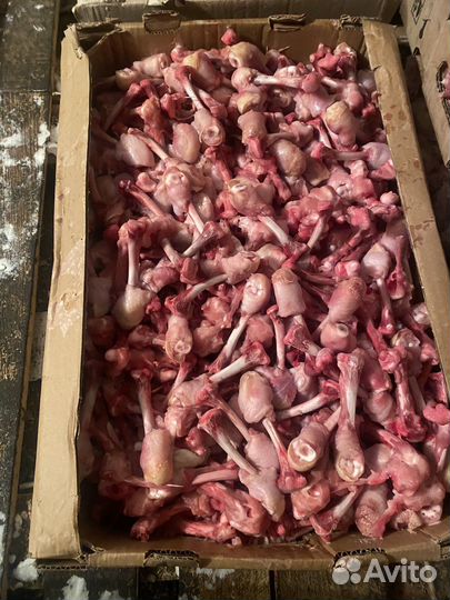 Мясо кости для собак