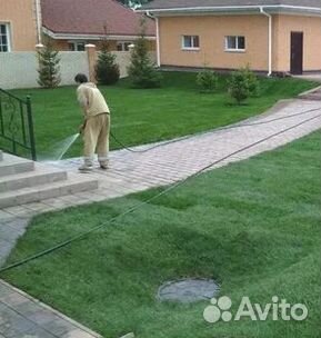 Продажа Рулонного газона