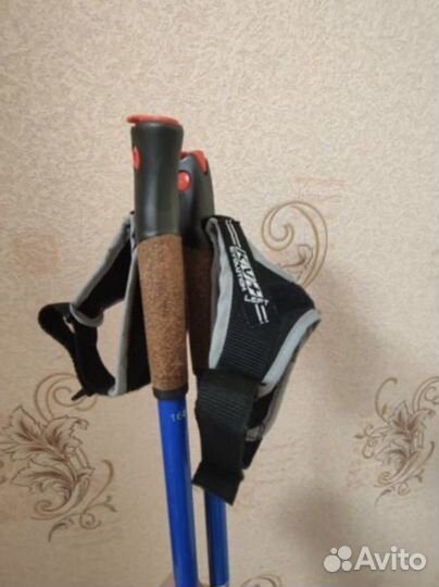 Лыжные палки kv forza