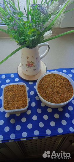 Пыльца пчелиная