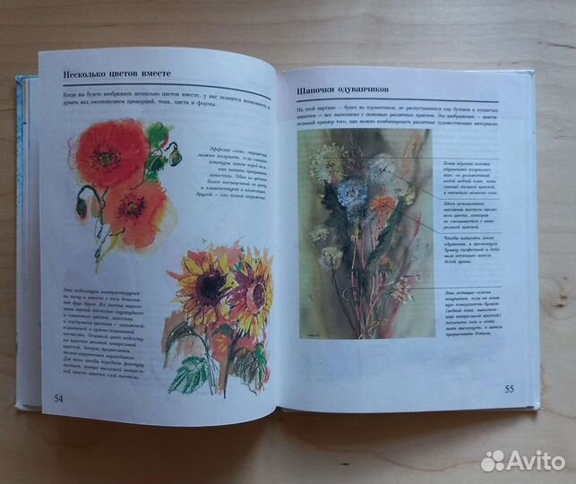 Книга для начинающих художников