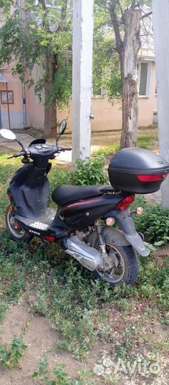 Stels tactic 50