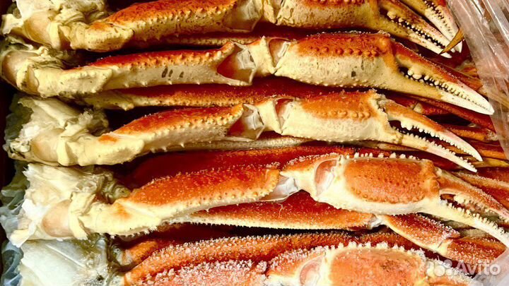 Краб стригун опилио варено-мороженый L