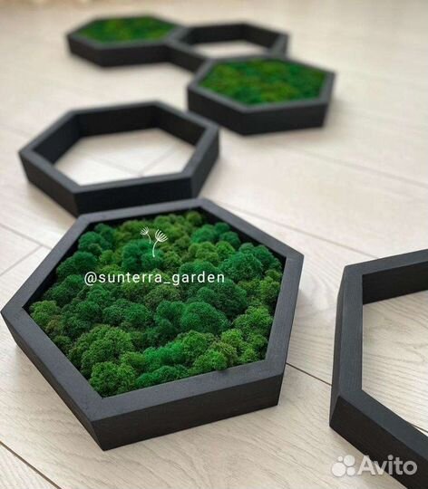 Полка сота. Полка настенная со мхом. Декор