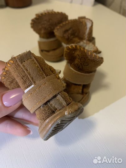 Одежда и обувь для собак