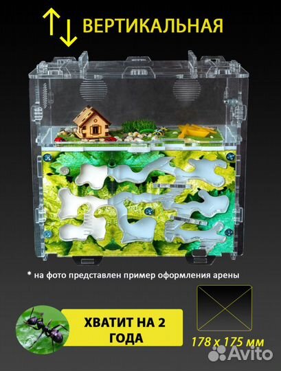 Муравьиная ферма (Формикарий) Вертикальная