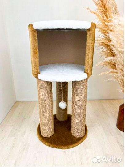 Когтеточка для кошки