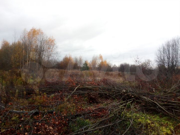 Участок 16 сот. (ИЖС)