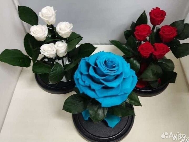 Роза в колбе оптом