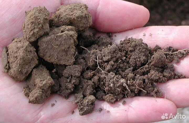 Земля для засыпки участка Арт: З-58.1