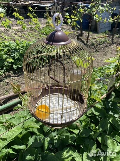 Клетка для птиц
