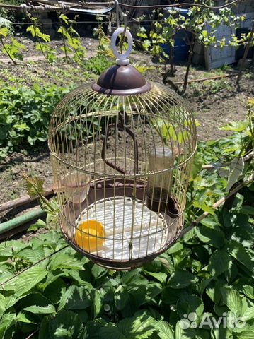 Клетка для птиц