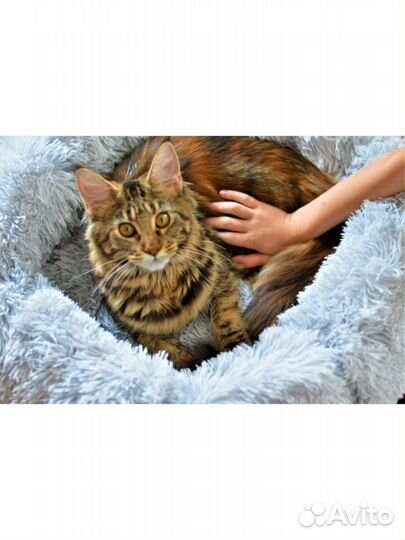 Лежанка для животных круглая мягкая 60 см