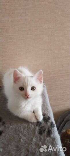 Всем деткам нужна семья