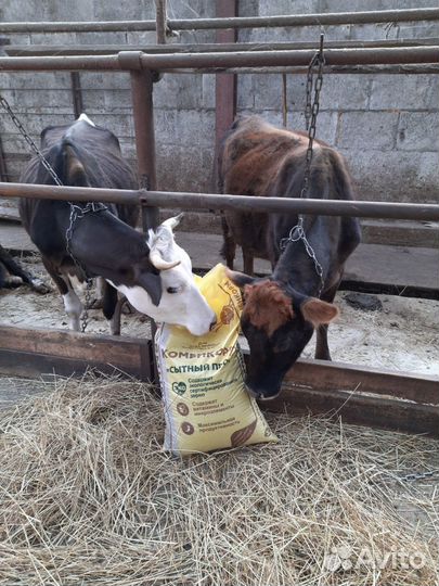 Комбикорма тм кормлина