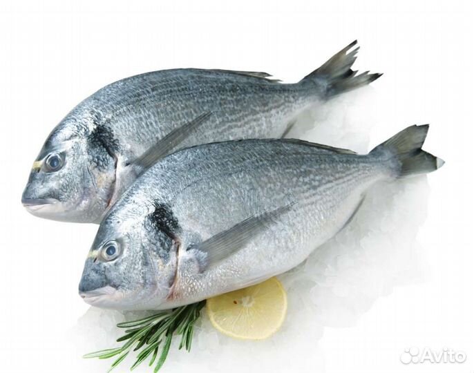 Сибас, дорадо, рыбка 400-600гр