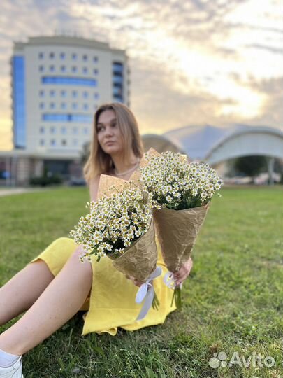 Ромашки цветы букеты