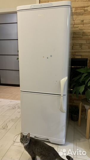 Холодильник Бирюса