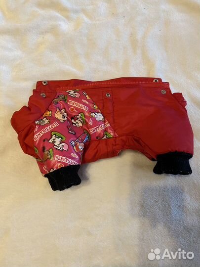 Одежда для собак