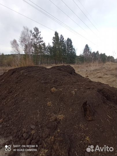 Продам перегной